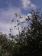 Photo DSC01901.JPG